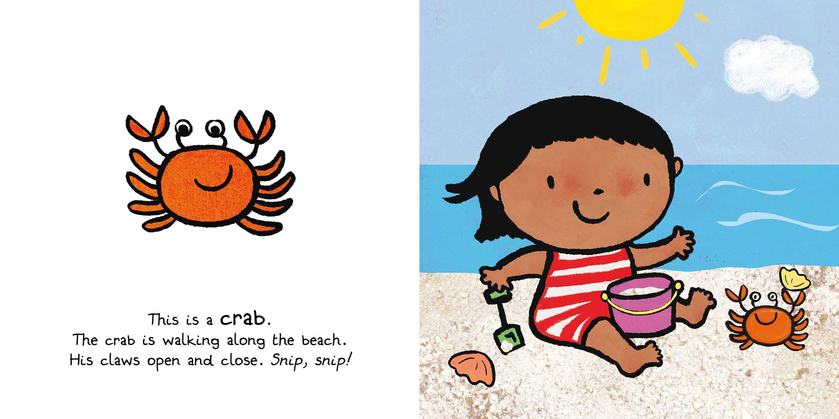 Ocean Animals