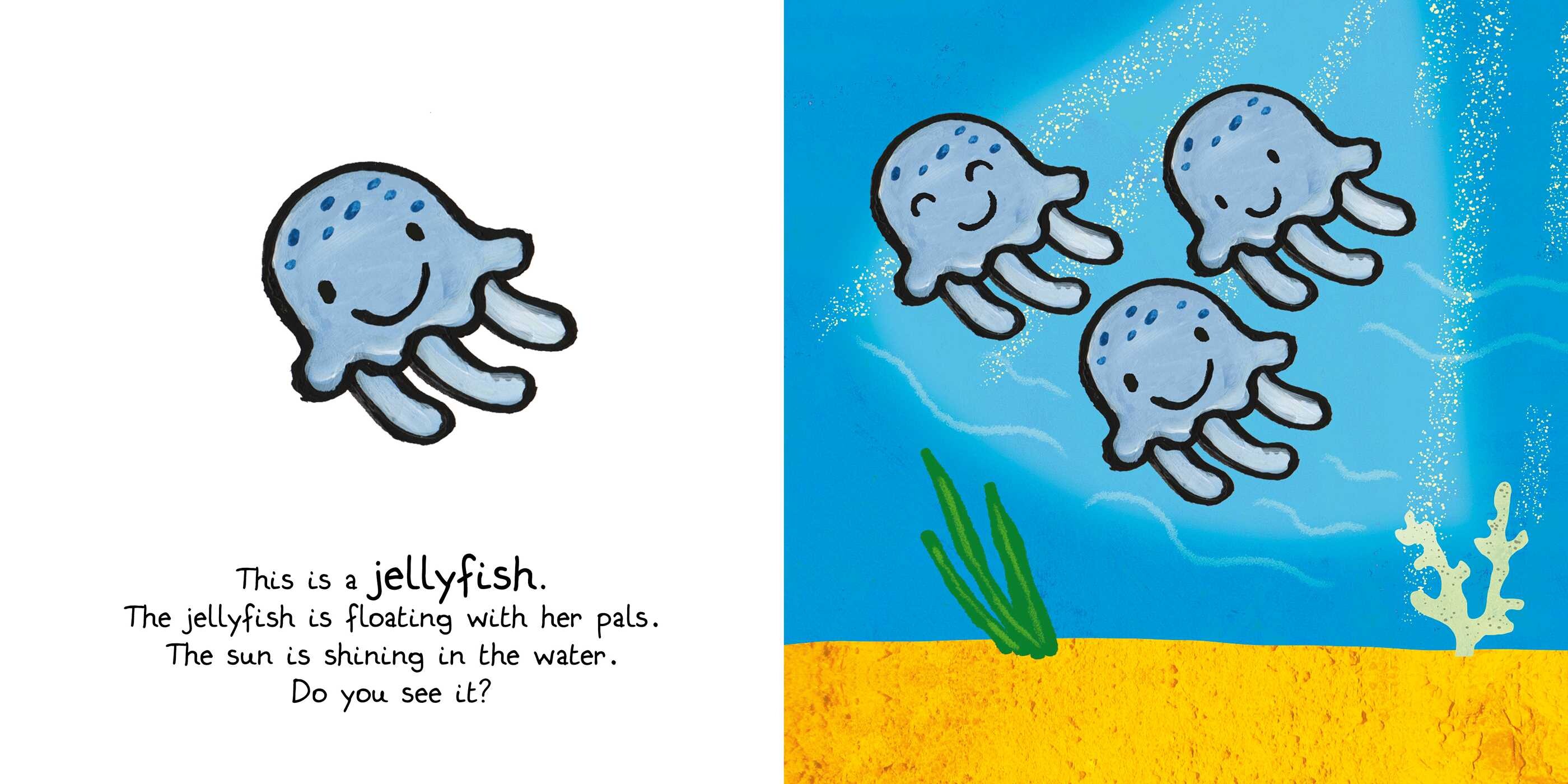 Ocean Animals