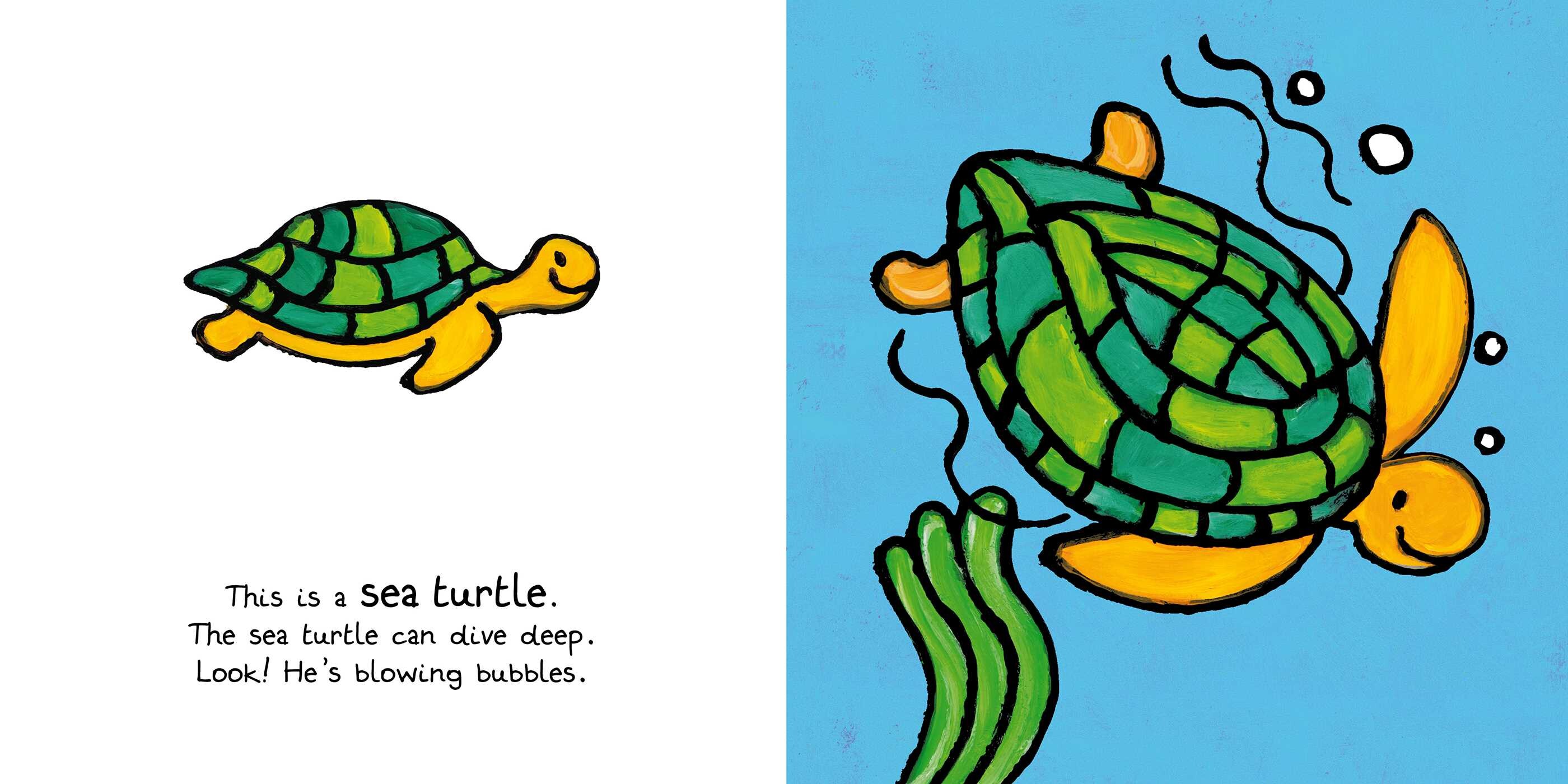 Ocean Animals