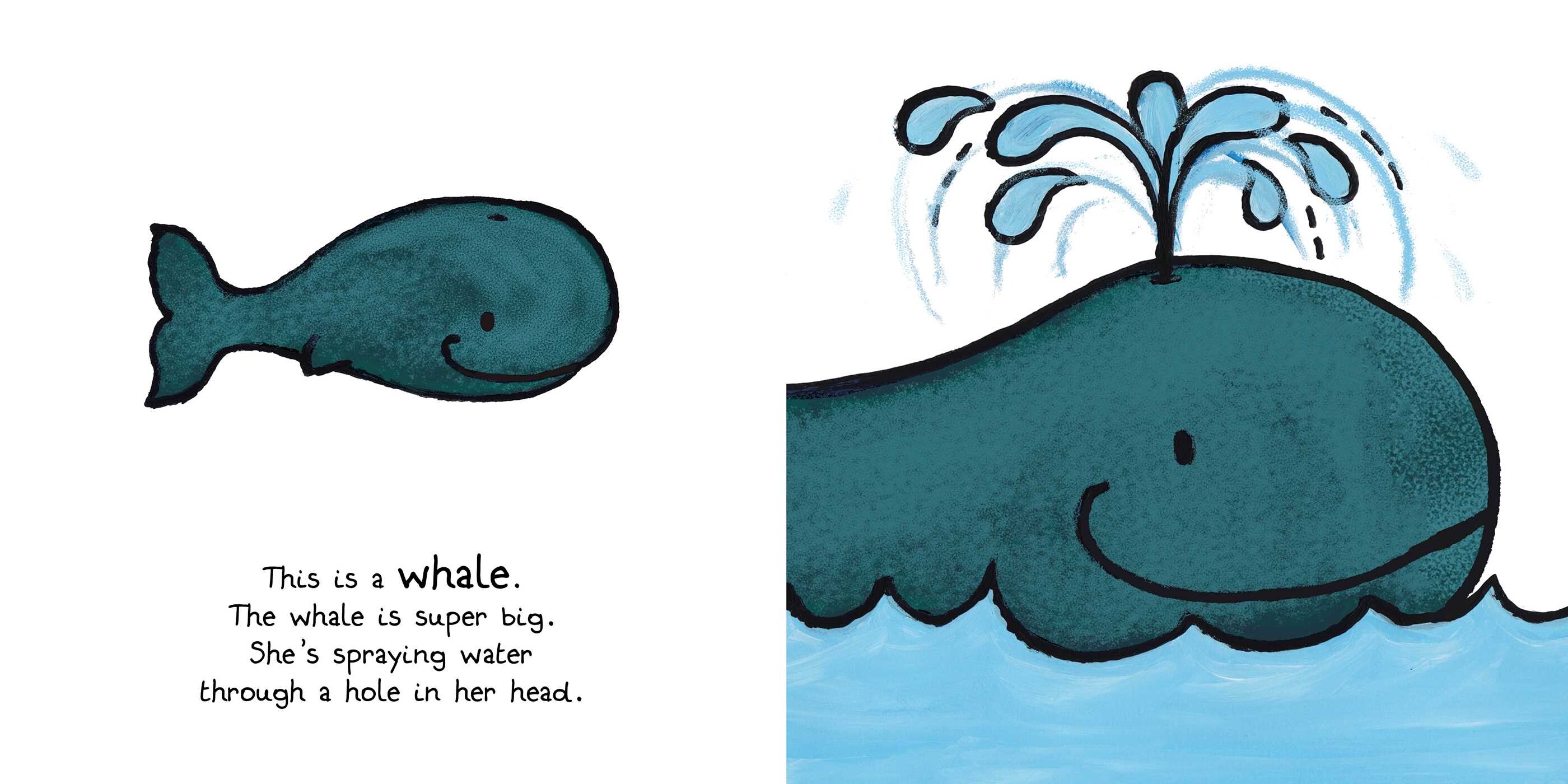 Ocean Animals