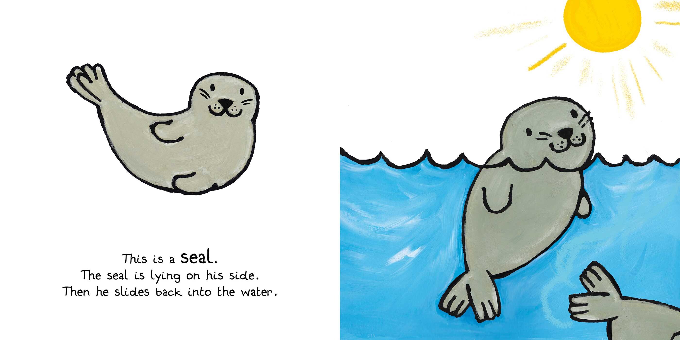 Ocean Animals