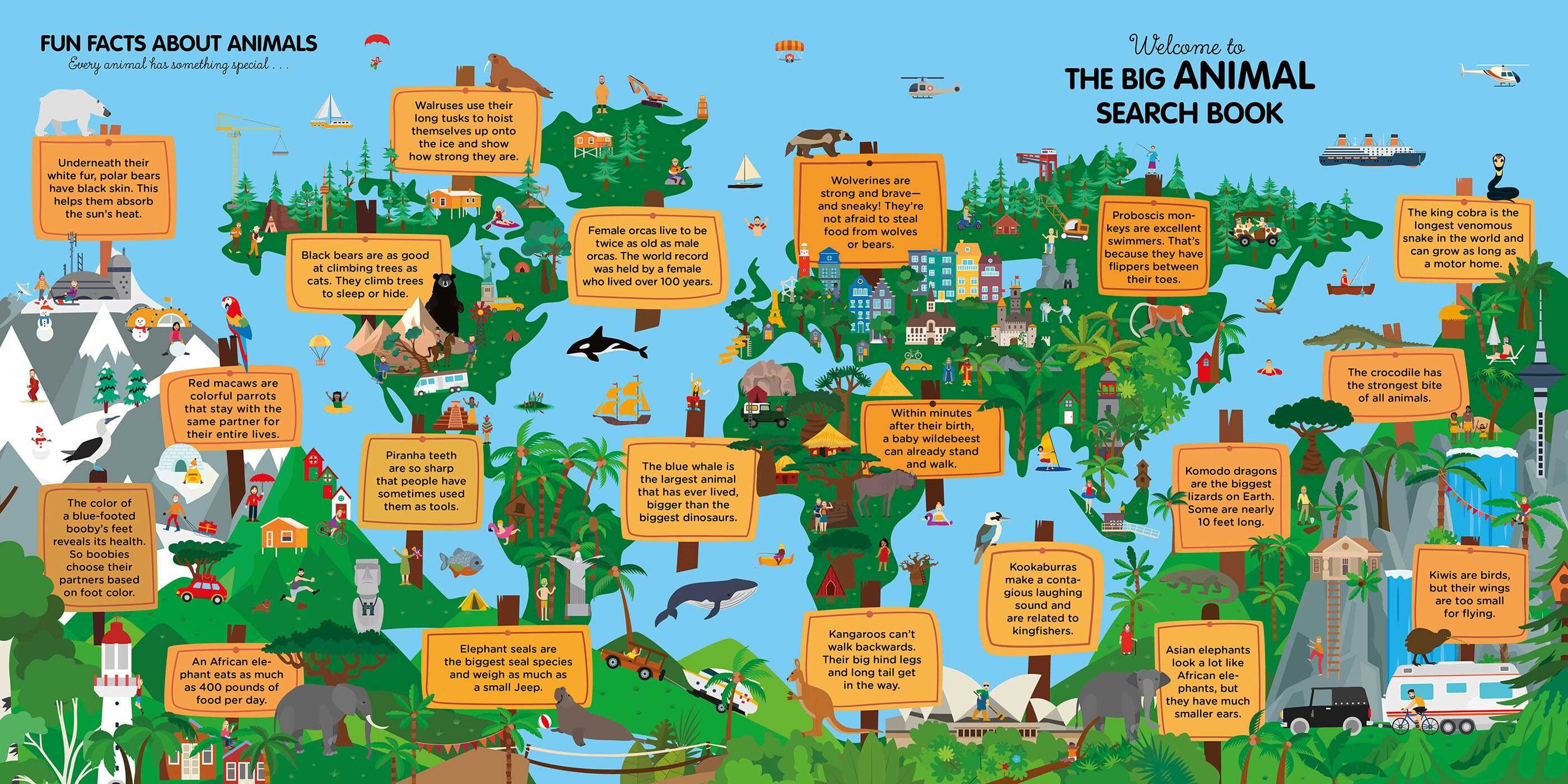Big Animal Search Book