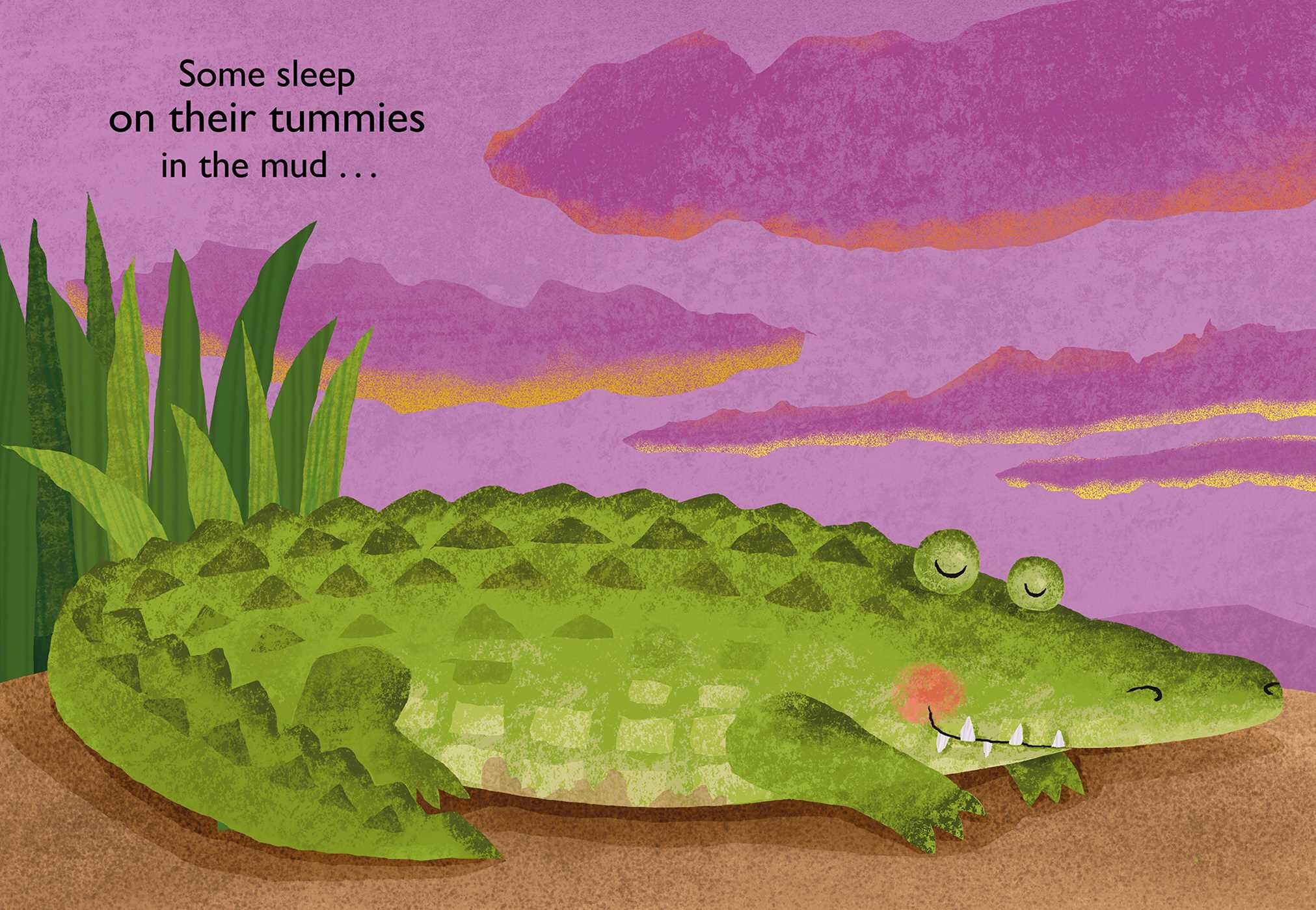 Big Sleep Book