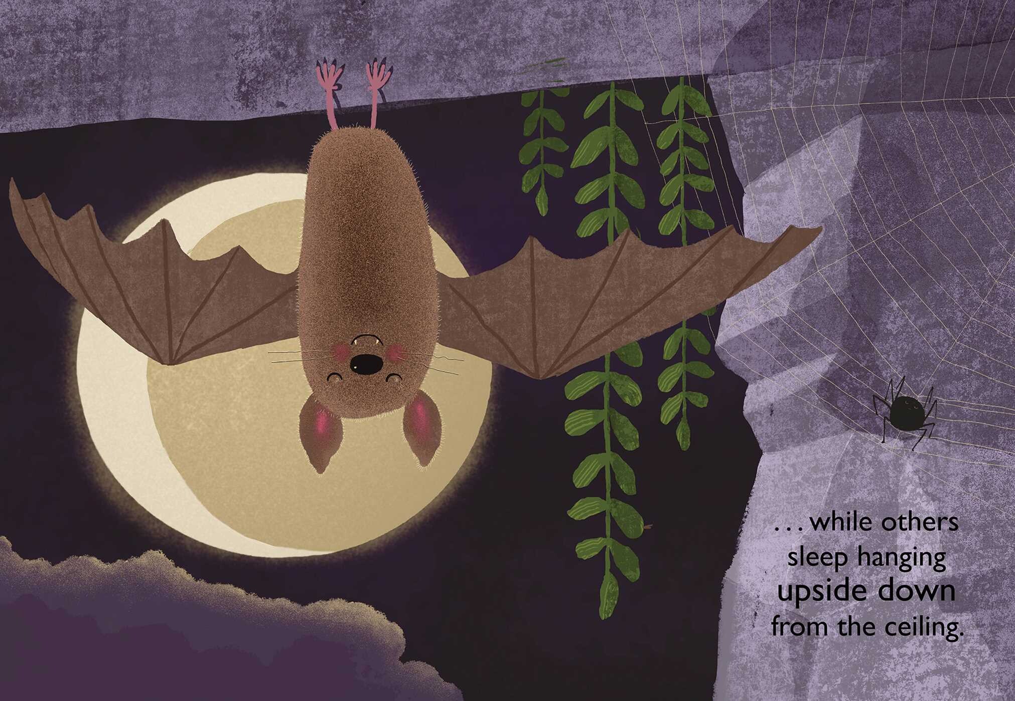 Big Sleep Book